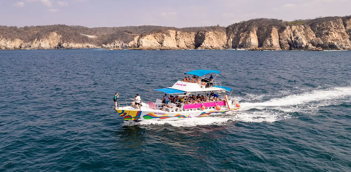 tour bahias