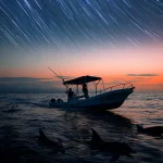 tour-amanecer-con-estrellas-y-delfnes