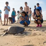 Niños-liberando-tortugasl